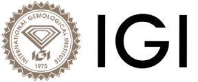 logo igi